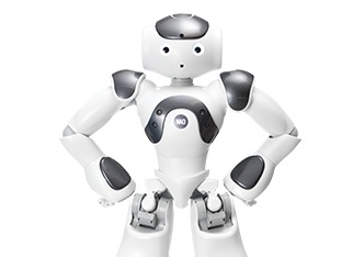 ロボット事業　ROBOT RENTAL（ロボットレンタル）　サービス分野